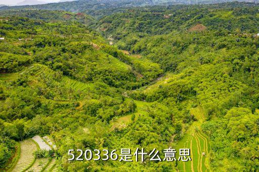 520336是什么意思