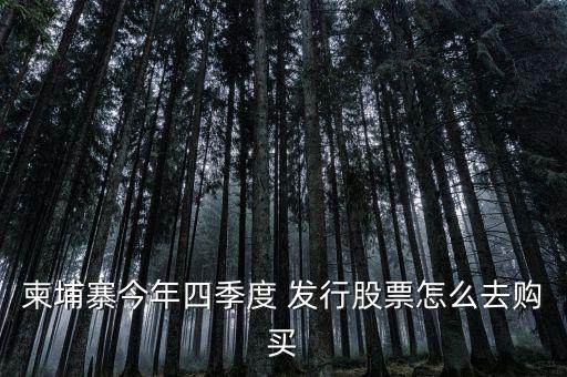 越南什么時候發(fā)行的股票，黑龍江省利源達能源技術(shù)開發(fā)有限公司是家什么樣的公司他們在越