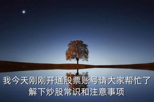 主力羅盤是什么意思，新手如何炒股