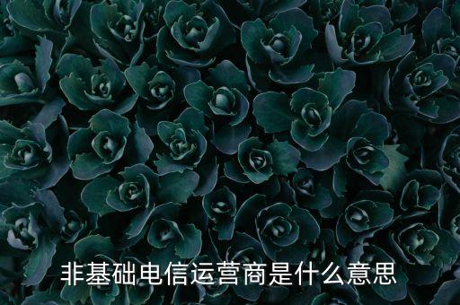 什么是基礎(chǔ)電信運(yùn)營商，請問基礎(chǔ)電信企業(yè)是不是就是指幾大電信運(yùn)營商啊不勝感激