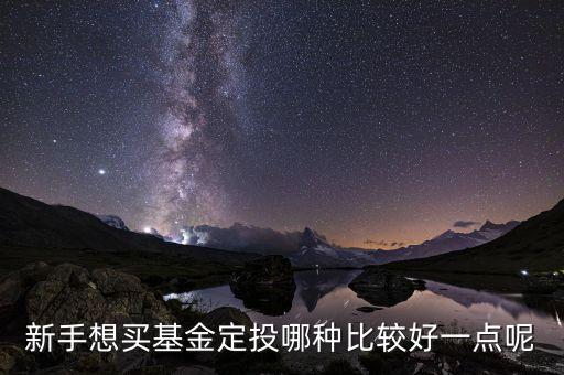 基金定投什么類型的好，買定投基金什么類型型的好