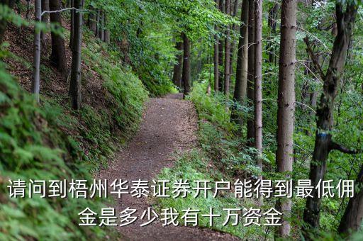 請(qǐng)問到梧州華泰證券開戶能得到最低傭金是多少我有十萬資金