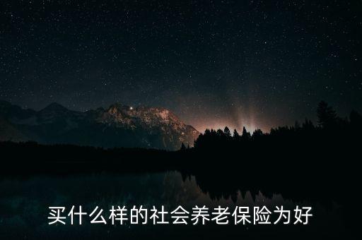 買什么樣的社會養(yǎng)老保險(xiǎn)為好