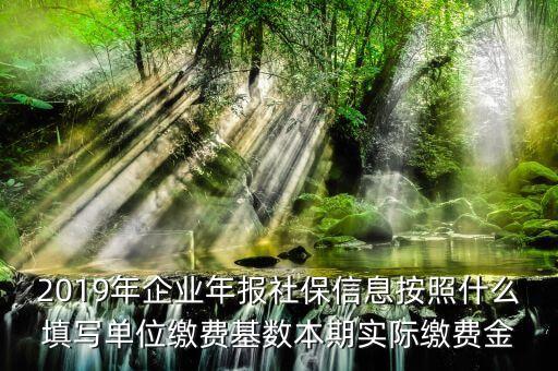 年報(bào)保險(xiǎn)費(fèi)指的是什么，2019年企業(yè)年報(bào)社保信息按照什么填寫單位繳費(fèi)基數(shù)本期實(shí)際繳費(fèi)金