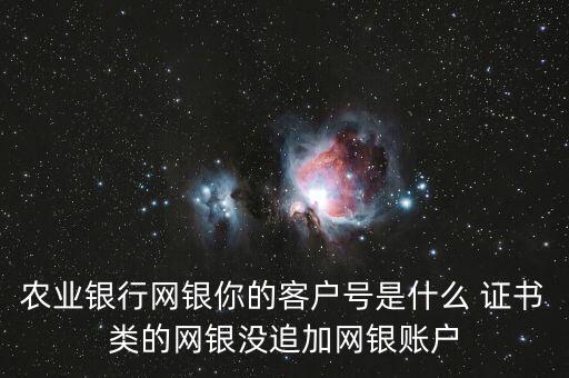 農(nóng)業(yè)銀行網(wǎng)銀客戶號(hào)是什么，農(nóng)業(yè)銀行網(wǎng)銀你的客戶號(hào)是什么 證書(shū)類的網(wǎng)銀沒(méi)追加網(wǎng)銀賬戶
