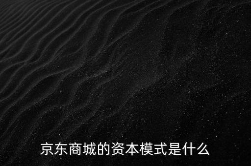 京東商城的資本模式是什么