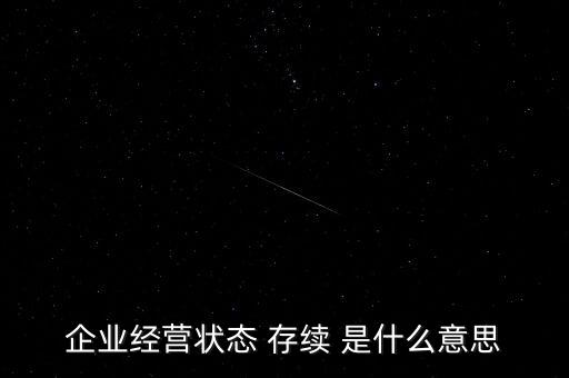 存續(xù)企業(yè)是什么意思，企業(yè)經(jīng)營狀態(tài) 存續(xù) 是什么意思