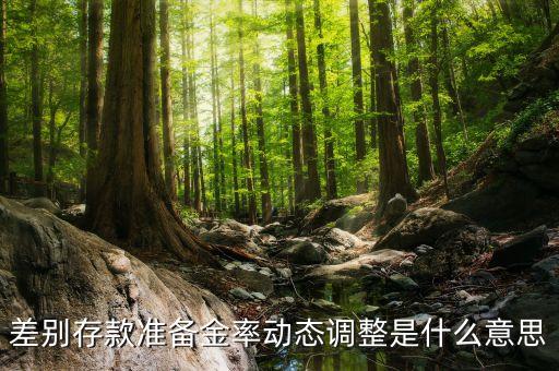 動(dòng)態(tài)準(zhǔn)備金制度是什么，什么是金準(zhǔn)備制度