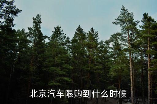 北京汽車限購(gòu)到什么時(shí)候