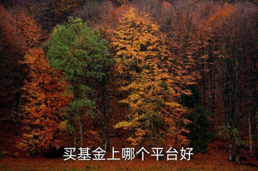 什么網(wǎng)站買基金好，買基金上哪個平臺好