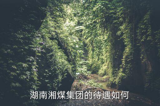 湖南湘煤集團的待遇如何
