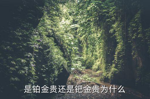 是鉑金貴還是鈀金貴為什么