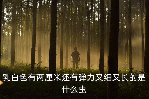 奶粉的白色蟲子是什么，貝因美奶粉里有蟲子包裝完好的貝因美奶粉里打開就發(fā)現(xiàn)里面有白