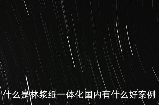 什么事林紙一體化，林漿紙一體化是什么意思清風紙業(yè)是的嗎