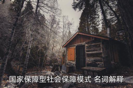 保障型保險什么意思，國家保障型社會保障模式 名詞解釋