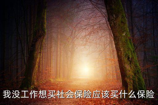 我沒工作想買社會保險(xiǎn)應(yīng)該買什么保險(xiǎn)