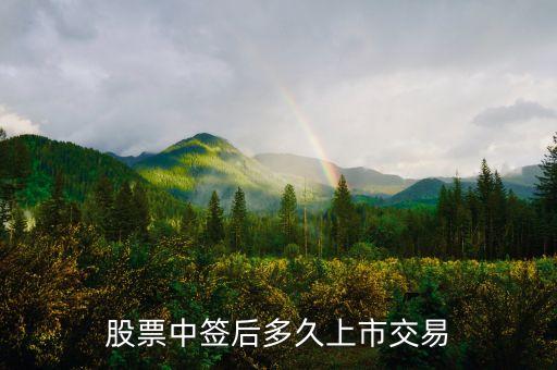 新股中簽后什么時(shí)間上市，新股申購(gòu)中簽后多久可以上市