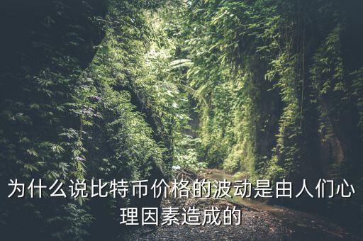 人們?yōu)槭裁匆幢忍貛牛瑸槭裁凑f比特幣價格的波動是由人們心理因素造成的