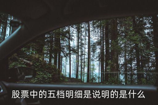 股票中的五檔明細是說明的是什么