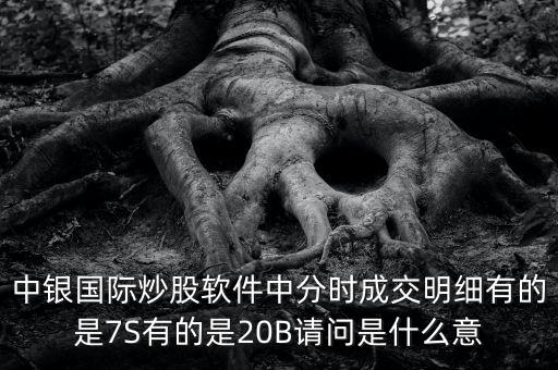 中銀互b是什么，中銀國際炒股軟件中分時成交明細有的是7S有的是20B請問是什么意