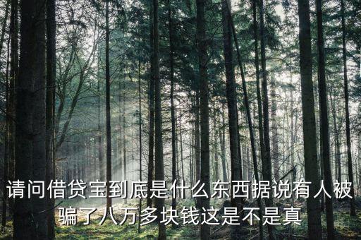 網(wǎng)貸寶是什么，請問一下愛貸寶是什么意思