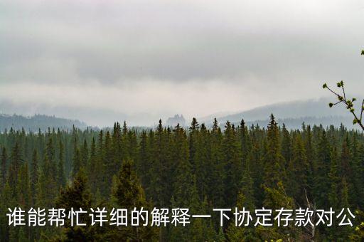 誰能幫忙詳細的解釋一下協定存款對公