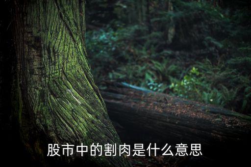 股市中的割肉是什么意思