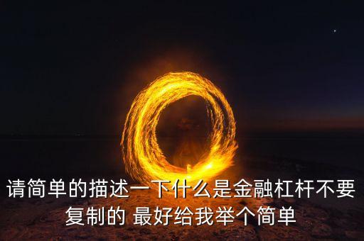 請簡單的描述一下什么是金融杠桿不要復(fù)制的 最好給我舉個簡單