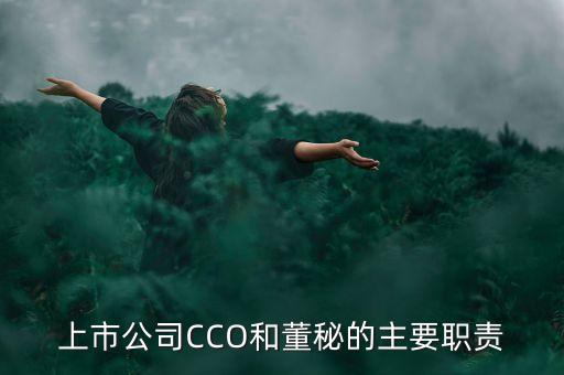 上市公司CCO和董秘的主要職責