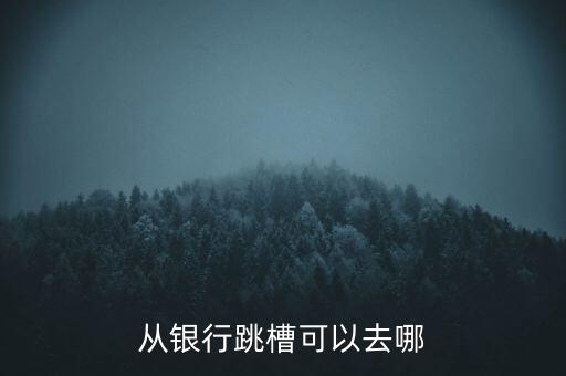 銀行什么部門跳槽基金方便，銀行卡部審批崗這個崗位之后能跳槽到什么企業(yè)和職位