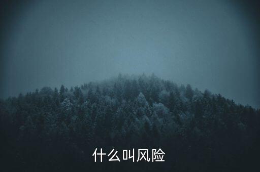 什么叫增量風(fēng)險，什么叫增多了國際投資增加了國際風(fēng)險