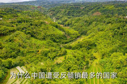 為什么反傾銷，我國(guó)為什么成為反傾銷最多的國(guó)家