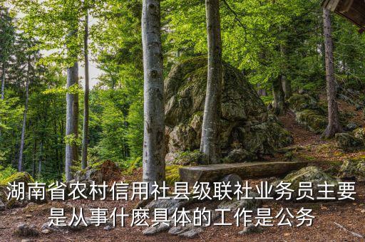 湖南省農(nóng)村信用社縣級(jí)聯(lián)社業(yè)務(wù)員主要是從事什麼具體的工作是公務(wù)