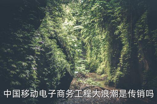 中國(guó)移動(dòng)電子商務(wù)工程大浪潮是傳銷嗎