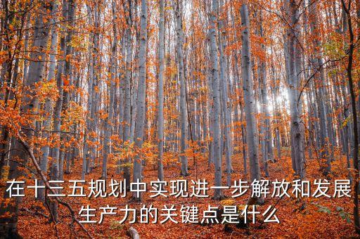 在十三五規(guī)劃中實現(xiàn)進一步解放和發(fā)展生產(chǎn)力的關(guān)鍵點是什么