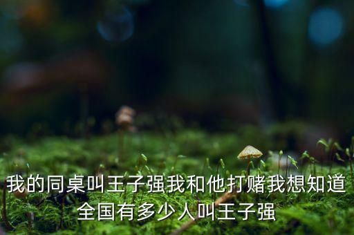 我的同桌叫王子強(qiáng)我和他打賭我想知道全國有多少人叫王子強(qiáng)