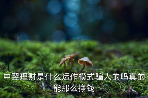 中翌理財是什么運(yùn)作模式騙人的嗎真的能那么掙錢