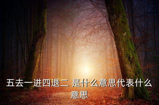 五去一進四退二 是什么意思代表什么意思