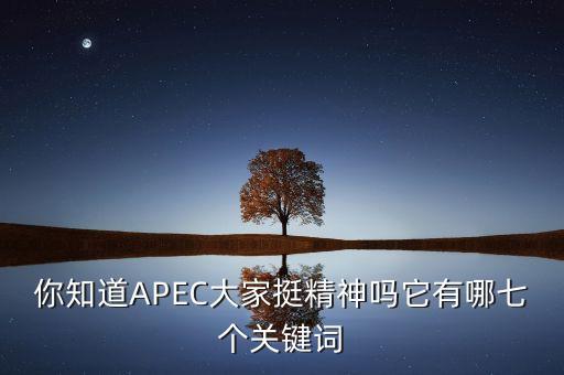 你知道APEC大家挺精神嗎它有哪七個(gè)關(guān)鍵詞