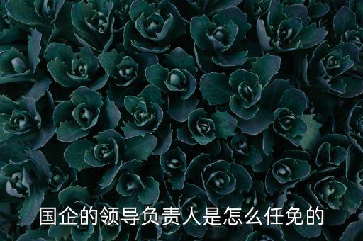 國企的領(lǐng)導負責人是怎么任免的