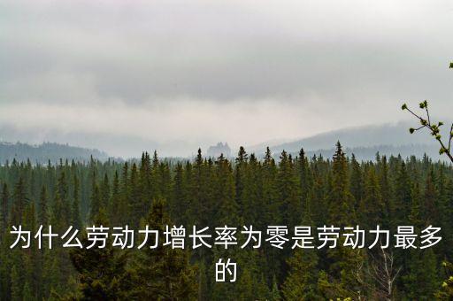 為什么勞動(dòng)力增長(zhǎng)率為零是勞動(dòng)力最多的