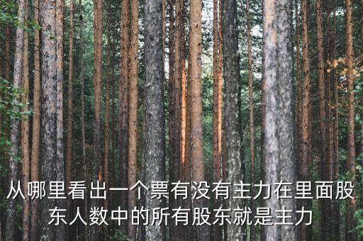 什么是主力，股市中的主力是什么意思