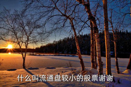 流通股很少的股票有什么特點，流通值小流通股本小的特點是什么
