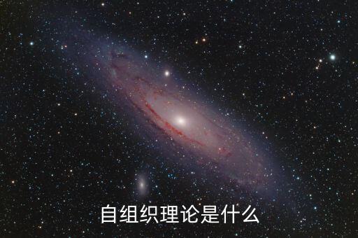 自組織理論是什么