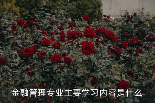 國際金融管理的基本內容是什么，讀金融管理包括哪方面