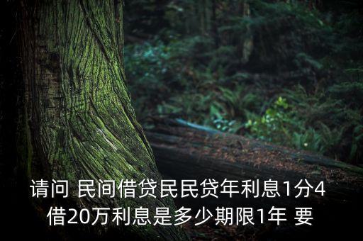 民民貸需要什么條件，民民貸年齡不夠可以貸款嗎