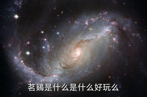 茗鷄是什么是什么好玩么
