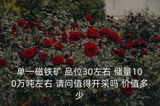 單一磁鐵礦 品位30左右 儲(chǔ)量100萬(wàn)噸左右 請(qǐng)問(wèn)值得開采嗎 價(jià)值多少