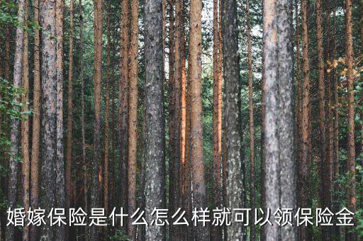 婚嫁保險(xiǎn)是什么怎么樣就可以領(lǐng)保險(xiǎn)金