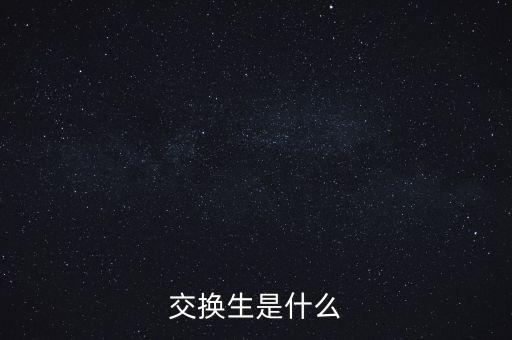 交換生是什么